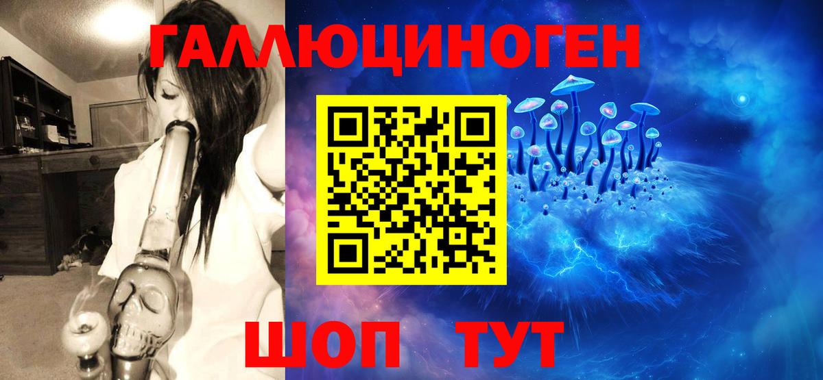 купить наркотик  Вход с VPN  Александров  Псилоцибиновые грибы Cubensis 